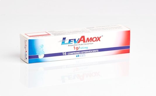 Lancement de LEVAMOX